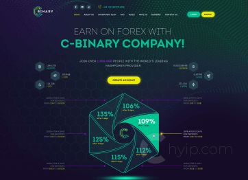 Изображение шаблона C-binary HYIP проекта